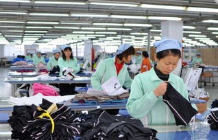 十年奮斗，一朝轉行 90后小伙的旅行社業務啟示錄