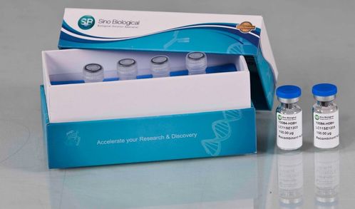 義翹神州以研發驅動業績快速成長,產品深受國際認可 需求旺盛